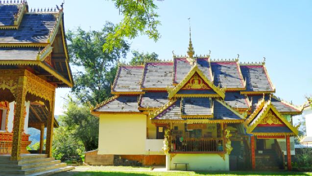 One-Tree Forest+Mengjinglai+Daluo Town One-Day Tour in Xishuangbanna[Ticket + Private Car]