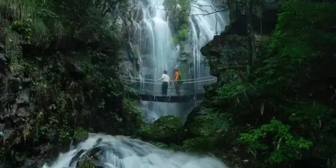 湖州安吉藏龍百瀑「匠心說」持證講解+獨立包團(不含門票)