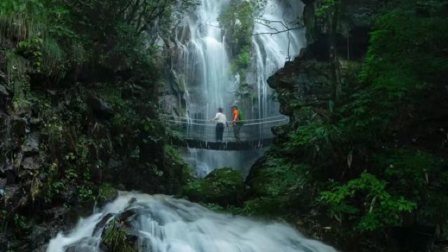 湖州安吉藏龍百瀑「匠心說」持證解說+私享包團（不包括入場門票）