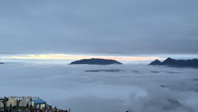 1-day tour to Ya'an Bifengxia + Mount Dawagengzha in Sichuan with Chinese and English services