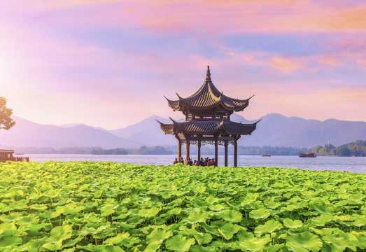 Private charter and customized shuttle bus itinerary consultation for Hangzhou, Huzhou, Wuzhen, Nanxun Ancient Town, and Xitang Ancient Town