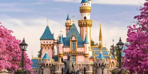 加州迪士尼樂園或加州冒險樂園 一日遊(2選1)|門票自理