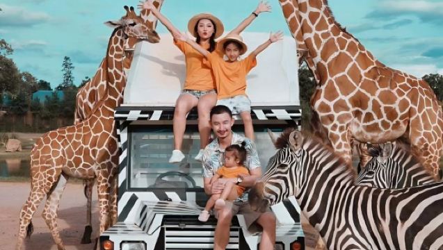 [Tour in auto privata] Gita di un giorno allo zoo di Kanchanaburi + ponte sul fiume Kwai + ferrovia della morte, scelta senza pensieri