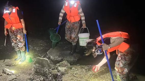 Familiepakket strandjutten in Li'an-binnenwateren [onderdompelende ervaring met vissen, krabben vangen, garnalen scheppen en schelpen zoeken]