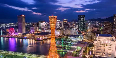 【保證出發】大阪出發 神戶夜景之旅:北野異人館 + 神戶須磨海洋世界 + 六甲花園露台 + 神戶臨海樂園馬賽克廣場 + 神戶港塔 + 神戶美利堅公園