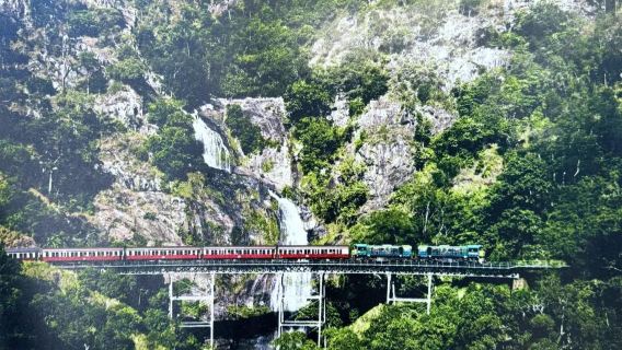 Lawatan Sehari Cairns Hutan Hujan Kuranda + Kenderaan Amfibia + Budaya Orang Asli + Kereta Kabel/Kereta Api Sehala