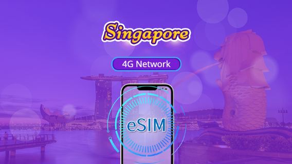 Singapore 4G eSIM | Supports Google Maps / ChatGPT | Daily/Total Data Plans | 24-Hour Billing | 1–30 Days | QR Code
