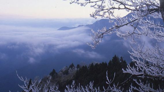 Taipingshan National Forest Recreation Area: Entry Ticket