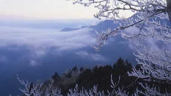 Taipingshan National Forest Recreation Area: Entry Ticket
