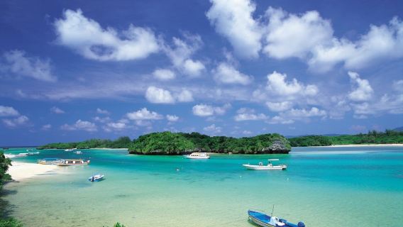 Jepun Okinawa Naha pergi-balik + Manzamou + Pulau Kouri + Churaumi Aquarium [Sewaan peribadi dalam bahasa Cina]