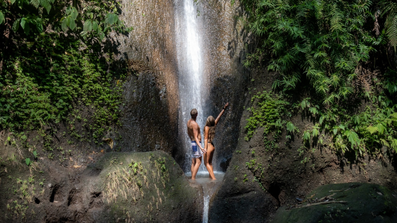 Bali: Escursione alle cascate nascoste