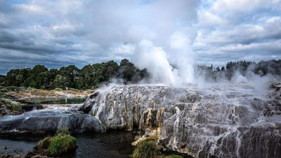 Auckland: Rotorua Te Puia, Haka, Kiwi Birds & Polynesian Spa