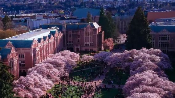 90-minütiger Rundgang der Universität von Washington in Seattle