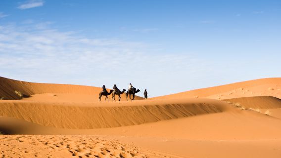 Rabat Istana Diraja + Bandar Lama Arab Rabat lawatan sewa peribadi - Canpin