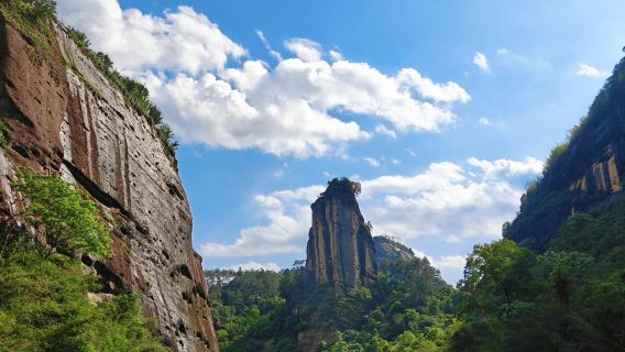 Lawatan sehari Wuyishan arung jeram rakit buluh Sungai Sembilan Lekuk di tarikan utama pokok induk Dahongpao (Termasuk persembahan 'Impression Dahongpao')