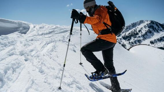 From Sofia: Snowshoe Hike on Vitosha Mountain