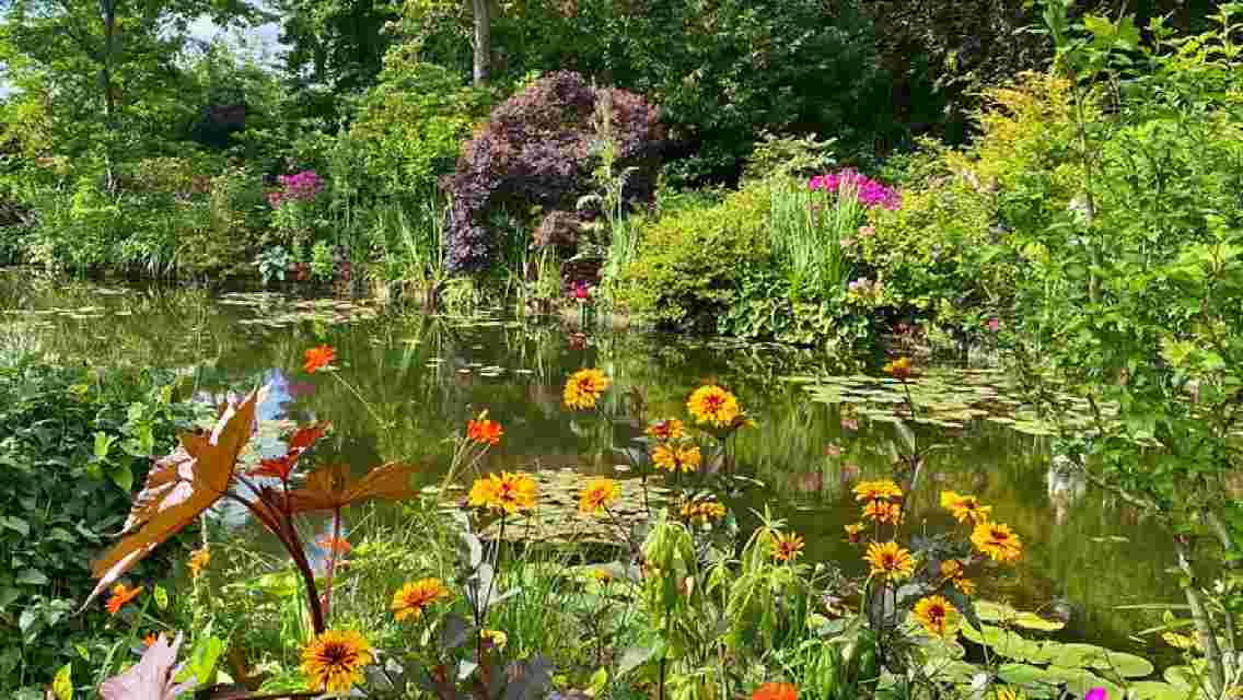 Private Giverny Half-day Trip from Paris by Mercedes Lunch option