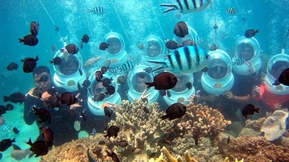 [Red River Tours] Seawalking Experience At Hon Roi