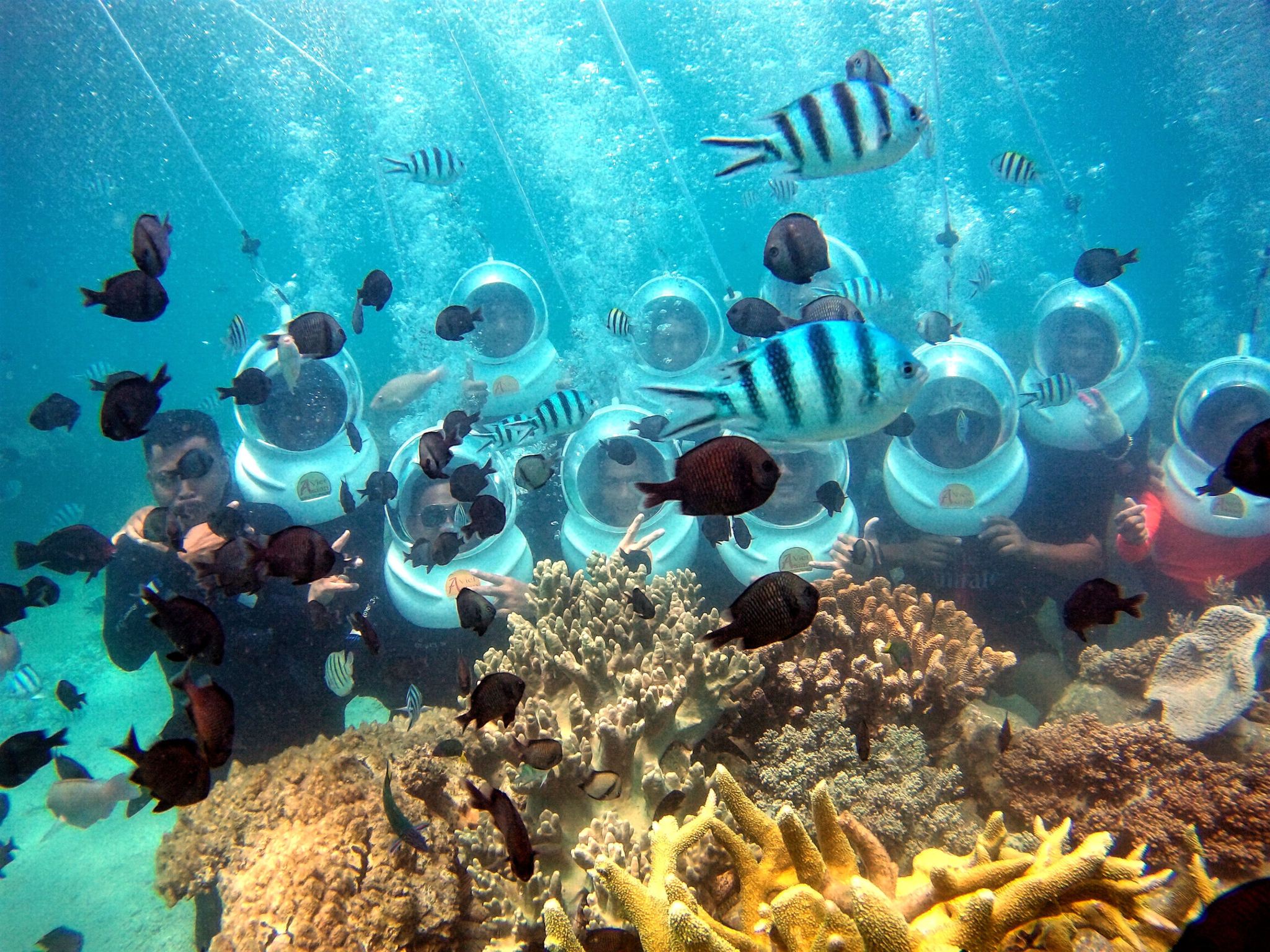 [Red River Tours] Esperienza di seawalking a Hon Roi