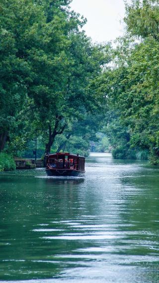 Half-Day Hangzhou Xixi Wetland Park Tour (Including Admission Ticket + Electric Boat Ticket) + 2-Hr Expert Guide
