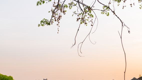 Шанхай: Древнего Город Чжуцзяцзяо [Трансфер на комфортабельном авто/Экскурсия с гидом от эксперта (2-3 часа)]