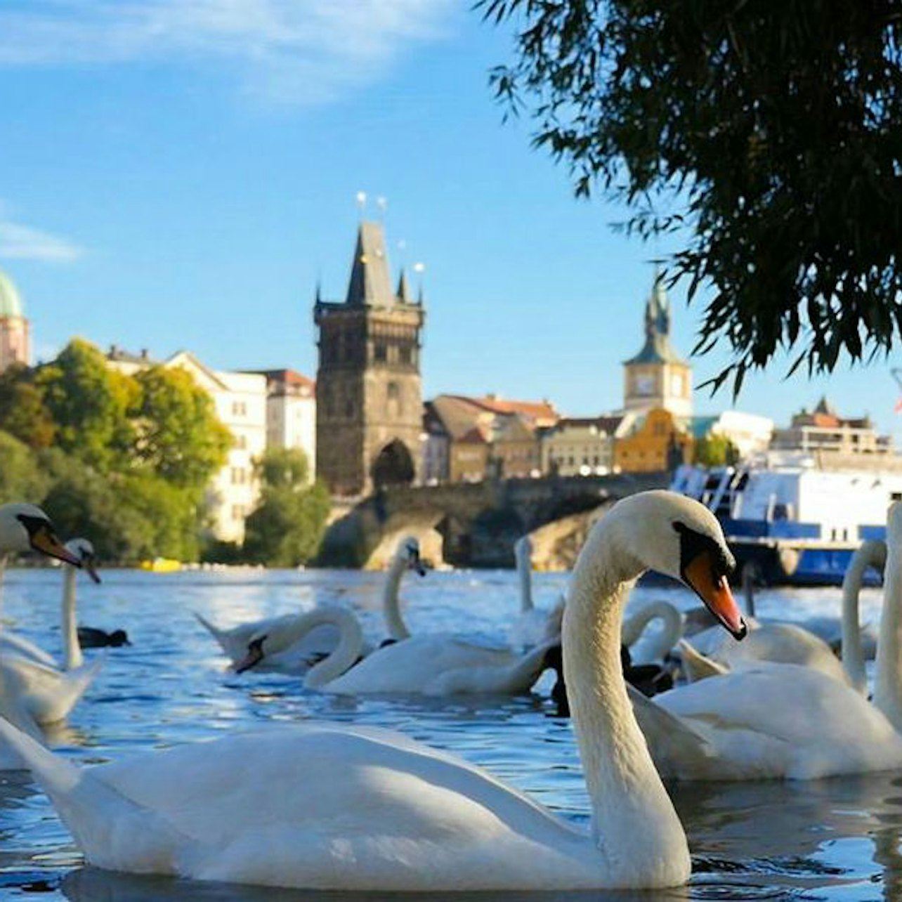 Prague: 50-Min River Cruise + Interactive Online Guide