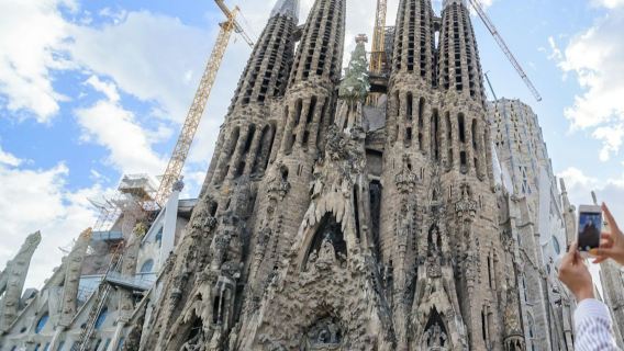Barcelona: Excursión de un día desde Madrid
