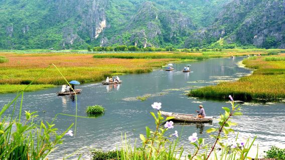 Da Ninh Bình: Tour di un giorno al Parco Nazionale di Cuc Phuong e alla zona umida di Van Long in piccoli gruppi organizzati