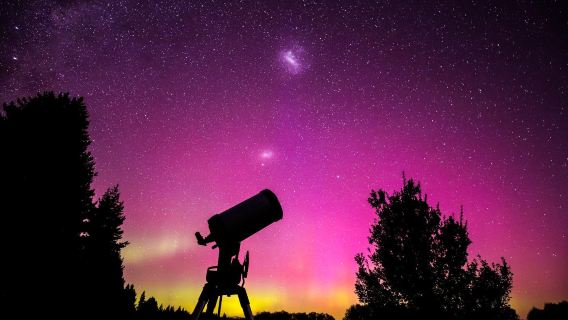 Go Tekapo Star Gazing Tour with Chinese/English Guide & Optional Hotel Pick-up & Drop-off