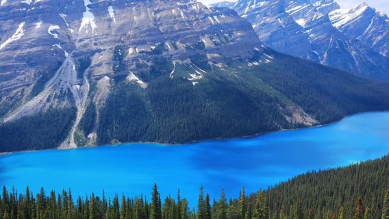 BanffTours