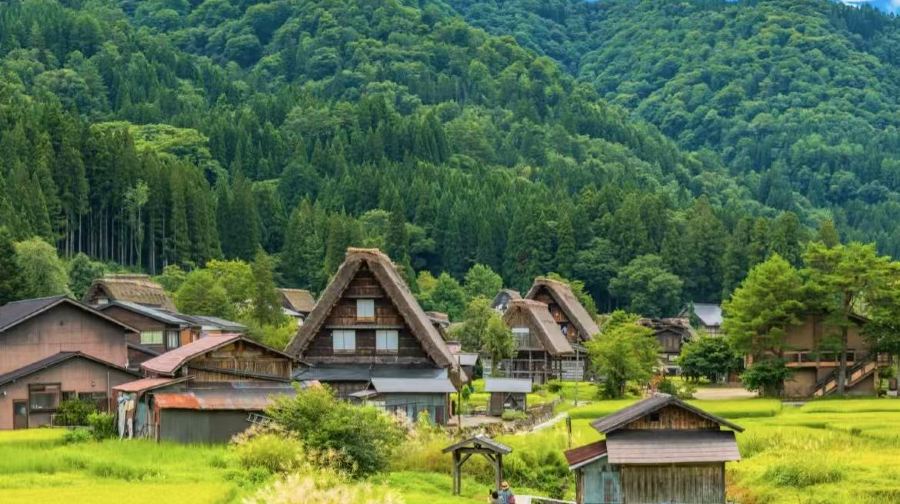 日本中部之旅【名古屋市區及週邊遊-普通話專車/接機-客製行程】