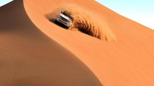 From Abu Dhabi Safari: Liwa Dunes Full Day 4x4 Safari Adventure Day Tours 7