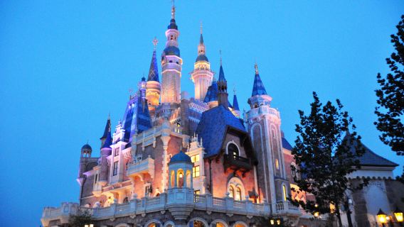 Round-trip private transfer between Paris, France and Disneyland [Chinese-speaking driver for worry-free travel]