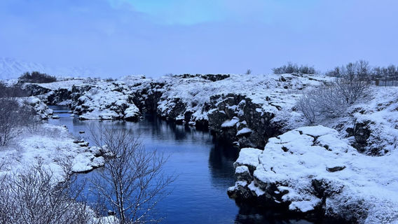 SeydisfjordurTours