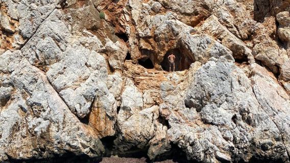 ทัวร์เรือผ่อนคลายที่อลันยาพร้อมชม Caretta และปลาโลมา