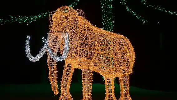 จากโตรอนโต: ทัวร์ชมเทศกาลแสงไฟฤดูหนาวที่น้ำตกไนแองการา