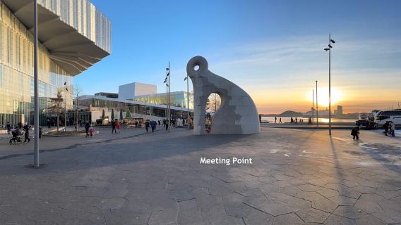 Oslo: Stadtrundgang mit leidenschaftlichem, unabhängigem Guide