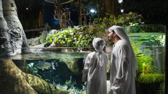 Dubai: Aquarium en onderwaterdierentuin-ervaring
