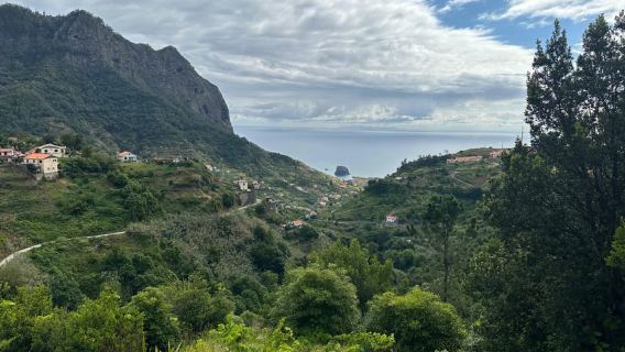 Madeira: Levada-Spaziergang und Santo da Serra-Markttour