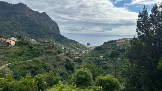 Madeira: Levada Walk and Santo da Serra Market Tour