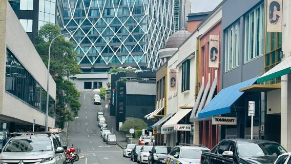 新西蘭奧克蘭市區網紅景點鳥島黑沙灘達文波特-包車-精選行程