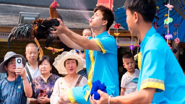 野象谷+西雙版納傣族園專線【景區直達無購物/快速入園】