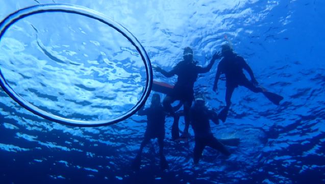 Half-Day Ishigaki Blue Cave Snorkel: Small Groups & Beginner Friendly
