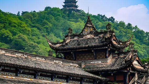 Lawatan sehari ke Chengdu Dujiangyan + Dataran Yangtianwo + Zhongshuge + Pemandangan malam Jambatan Selatan