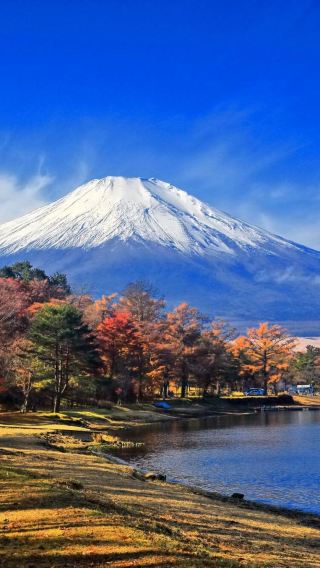 Tokyo Mt. Fuji Autumn Foliage Illumination Day Trip [Kawaguchiko/Yamanakako | Small Group Max 9 | Hotel Pick-up Option]