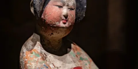 西安博物院及小雁塔文化半日遊(提供雙語導遊服務)