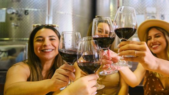 Florence: Small Group Guided Wine Tasting