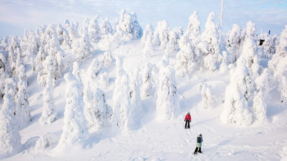 Tur Hiking & Sepatu Salju Lapland Finlandia (termasuk penjemputan dan pengantaran serta teh sore)