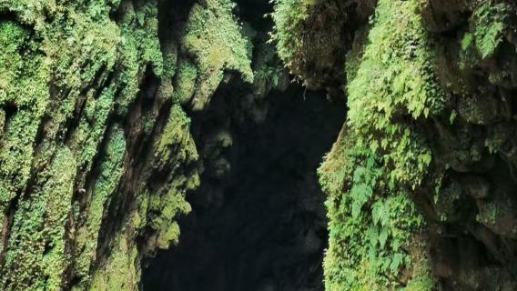 崇左出發|通靈大峽谷+德天跨國瀑布景區|包車日遊&地陪