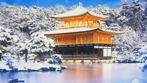 Hành trình văn hóa Kyoto: Chùa Vàng Kinkaku-ji + Chùa Thanh Thủy Kiyomizu-dera + Đền Fushimi Inari Taisha, tour 1 ngày khám phá cố đô ngàn năm